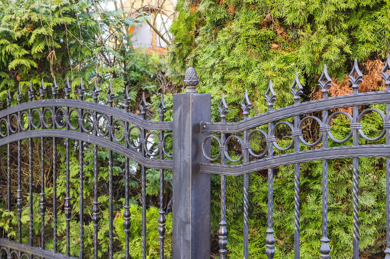 Wrought iron fence and gate